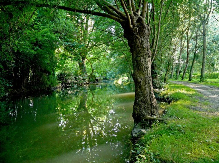 Visites De La Cit M Di Vale De Pons Jonzac Haute Saintonge Tourisme